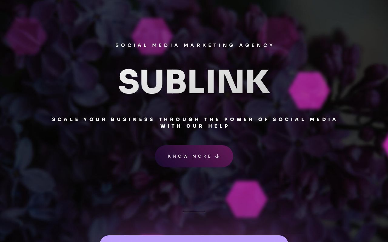 Sublink Meaning Sublink